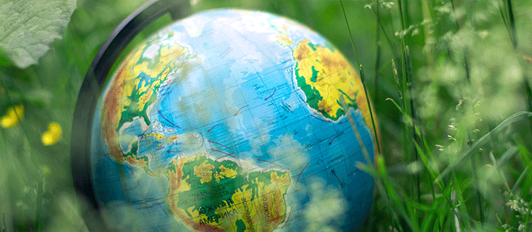 store-locator mobile